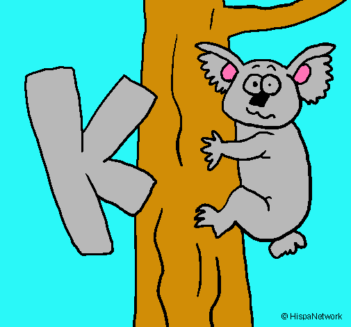 Koala