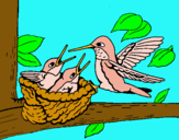 Dibujo Familia colibrí pintado por IreeneeXB