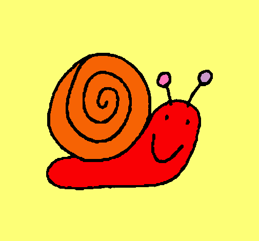 Caracol 4