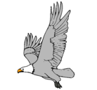 Dibujo Águila volando pintado por anomino