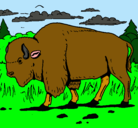 Dibujo Búfalo  pintado por ioijkl