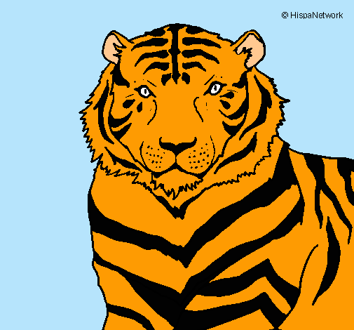 Dibujo Tigre pintado por SheilaCF
