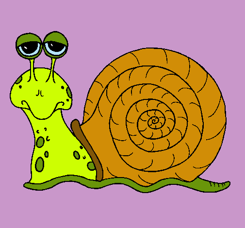 Caracol