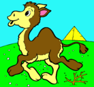 Dibujo Camello pintado por yesling