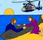 Dibujo Rescate ballena pintado por sanches
