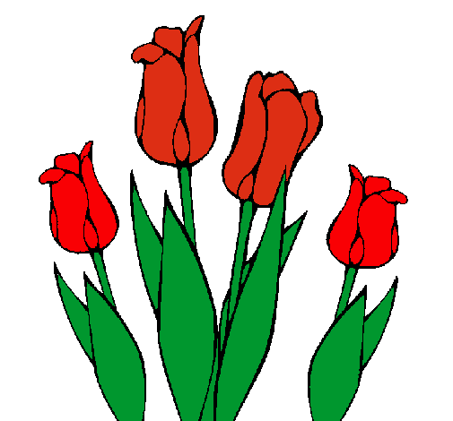 Tulipanes