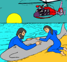 Dibujo Rescate ballena pintado por 628978689