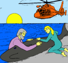 Dibujo Rescate ballena pintado por bizz