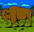 Dibujo Búfalo  pintado por Christopher