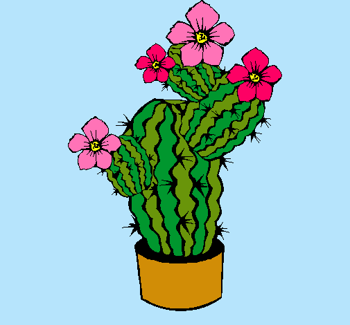 Flores de cactus