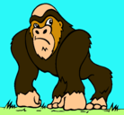 Dibujo Gorila pintado por esrefy