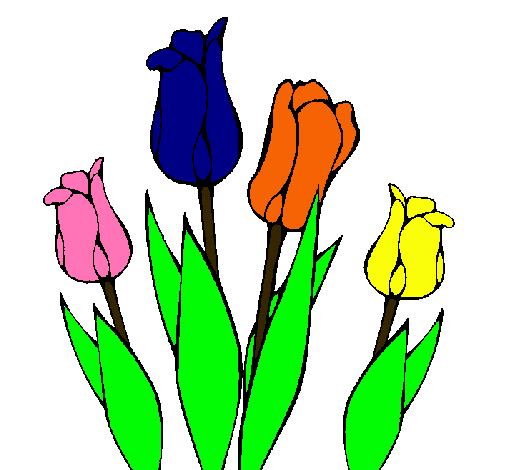 Tulipanes