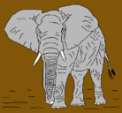 Dibujo Elefante pintado por hjsydugcdhdc