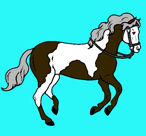 Caballo 5