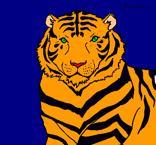 Tigre