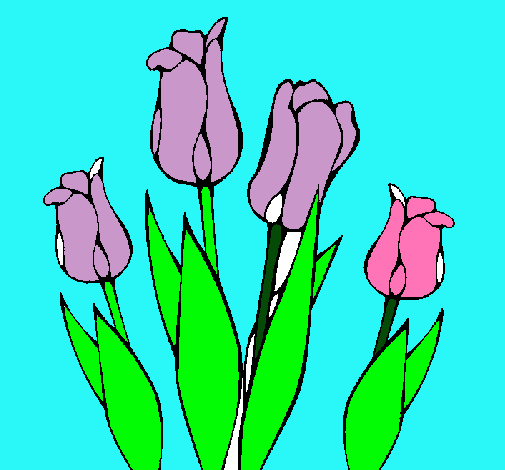 Tulipanes