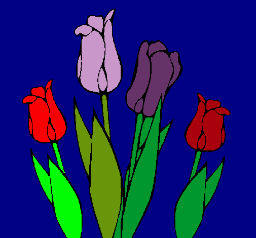 Tulipanes