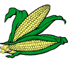 Dibujo Mazorca de maíz pintado por mari44