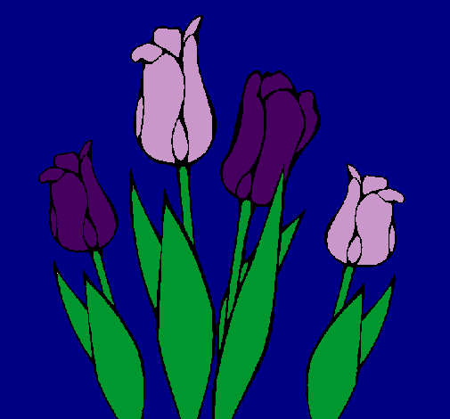 Tulipanes