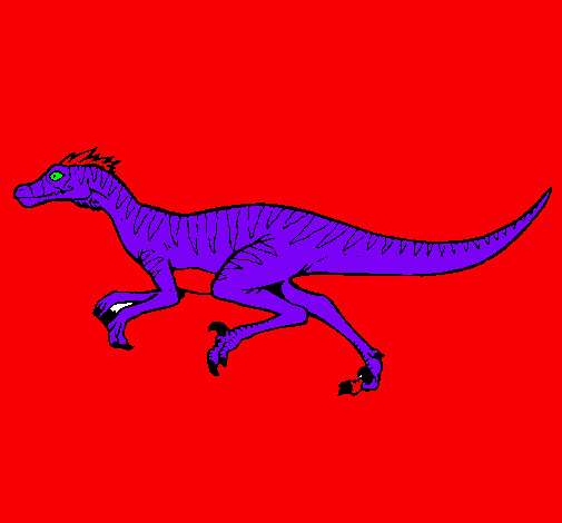 Velociraptor