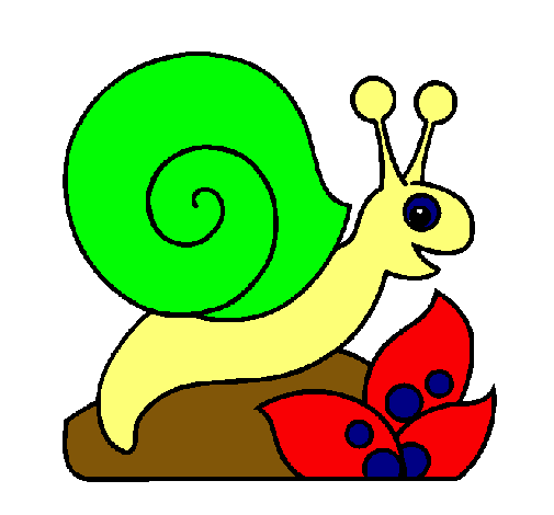 Caracol