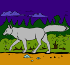 Dibujo Coyote pintado por corelin