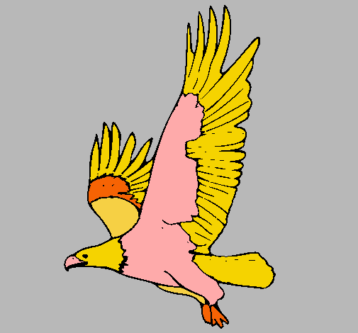 Águila volando