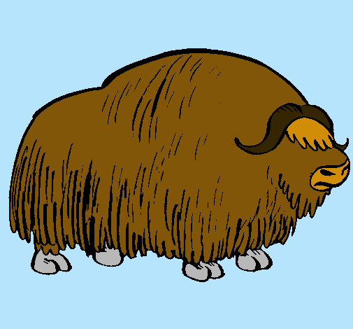 Bisonte