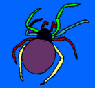 Dibujo Araña venenosa pintado por hombre