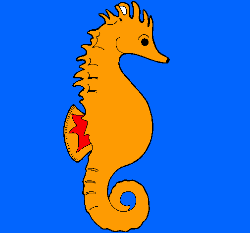 Caballito de mar