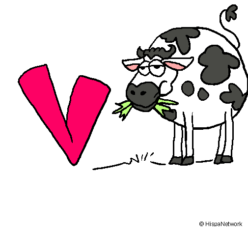 Vaca