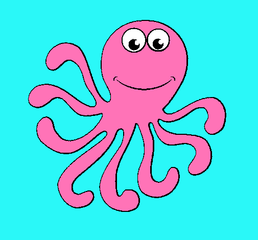 Pulpo 2