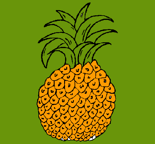 piña