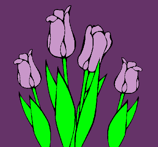 Tulipanes