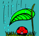 Dibujo Mariquita protegida de la lluvia pintado por anitita