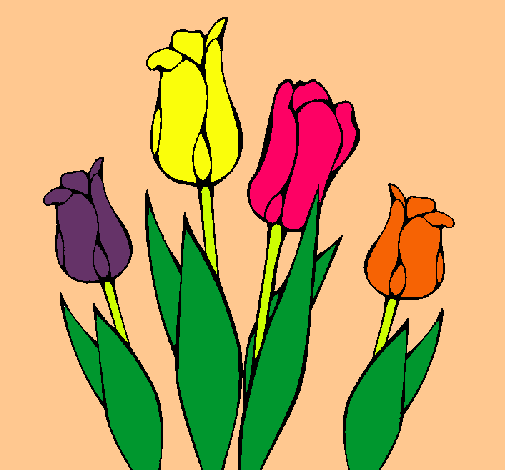 Tulipanes