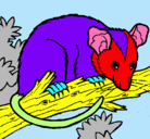 Dibujo Ardilla possum pintado por dora354