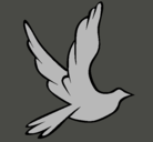 Dibujo Paloma de la paz al vuelo pintado por siara