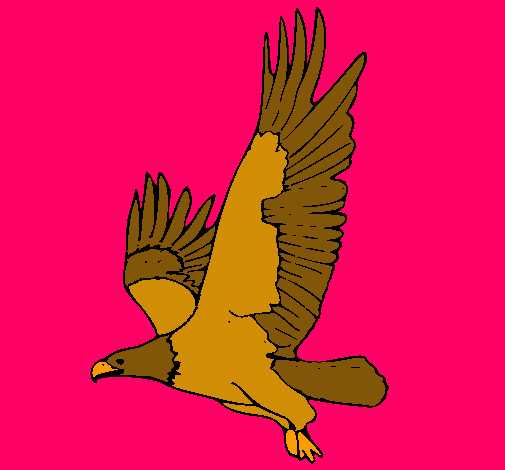 Águila volando