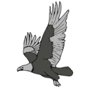 Dibujo Águila volando pintado por arceus