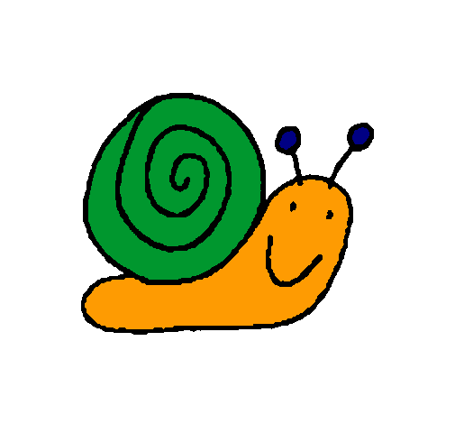 Caracol 4