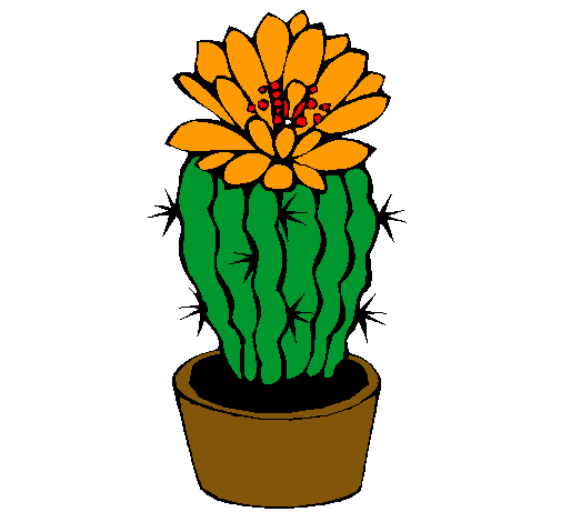 Cactus con flor