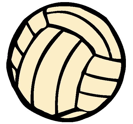 Pelota de voleibol