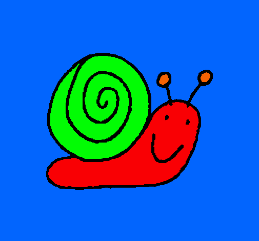 Caracol 4