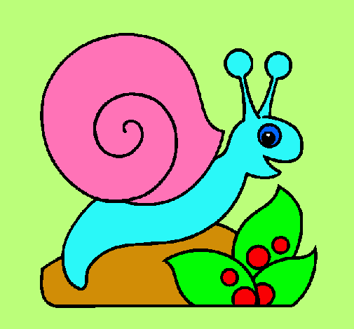 Caracol