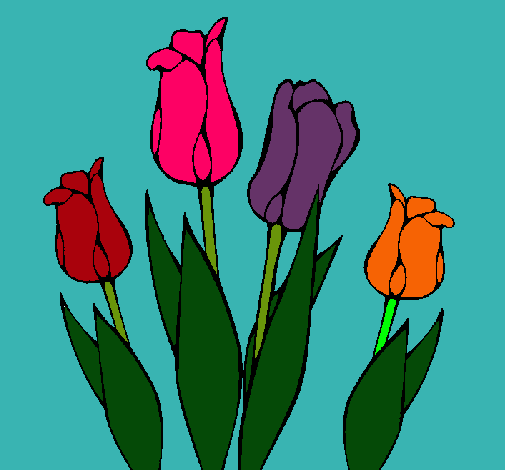 Tulipanes