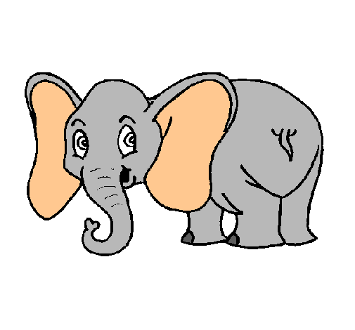 Elefante pequeño