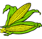 Dibujo Mazorca de maíz pintado por ivonnemilen
