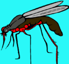 Dibujo Mosquito pintado por LAUREANO 