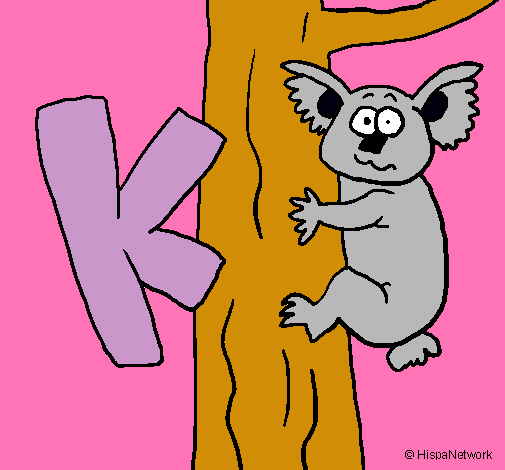 Koala